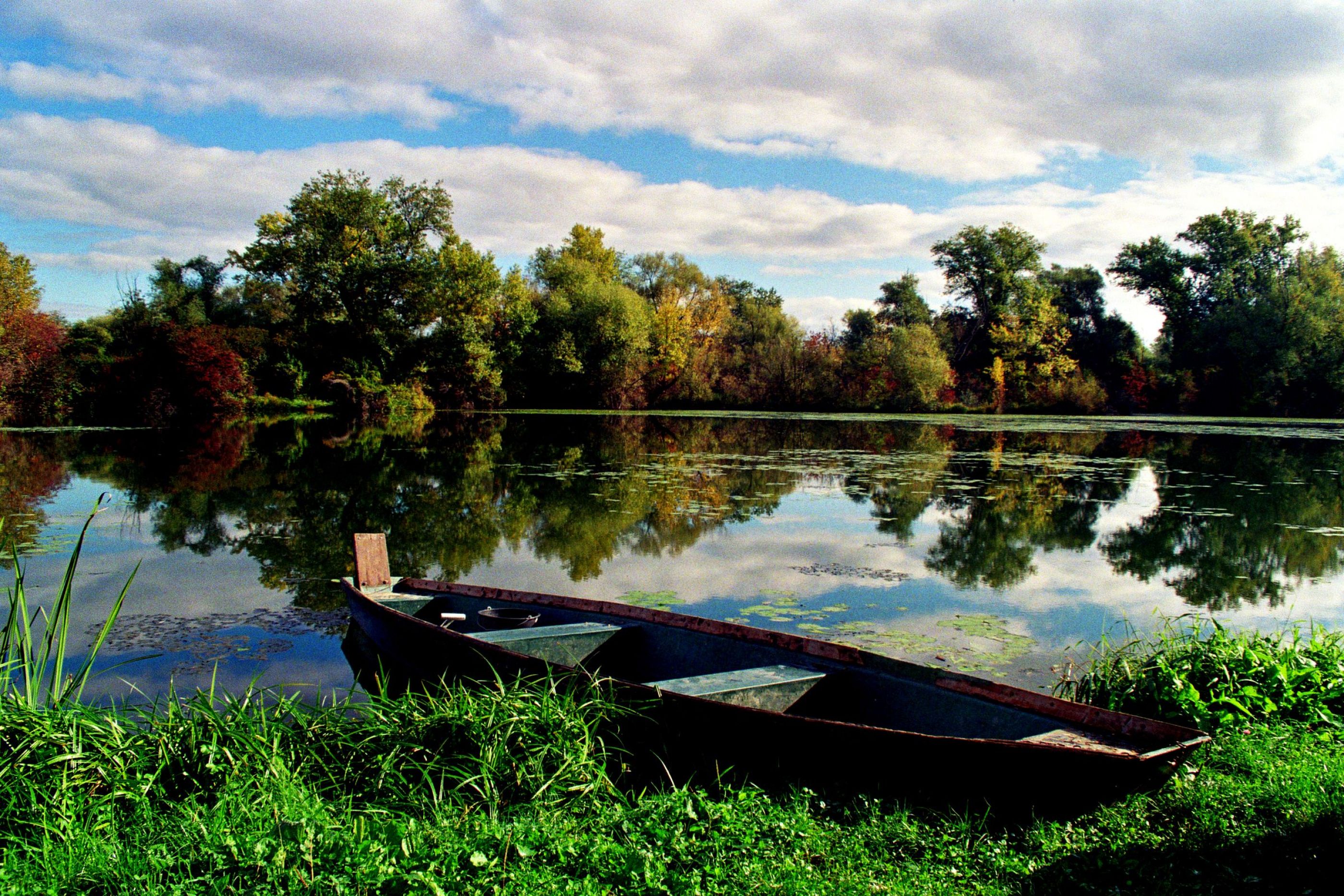 On the lake